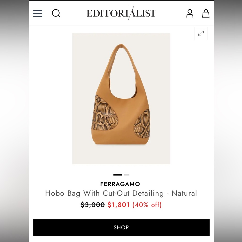 $3000 Salvatore Ferragamo Hobo Bag With Cut-Out Detailing, Light Caramel - Picture 4 of 17
